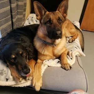 Meet your Posher, Kristin